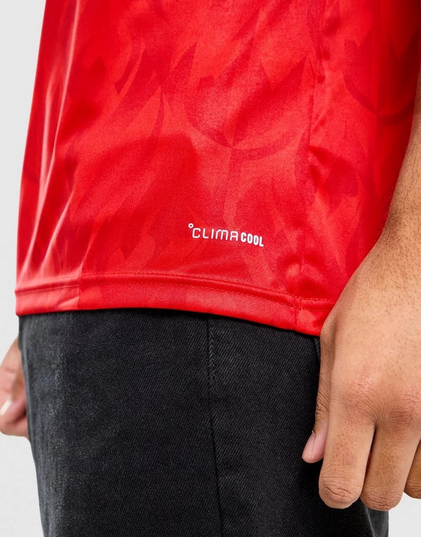 MAILLOT DOMICILE BELGIQUE 2026