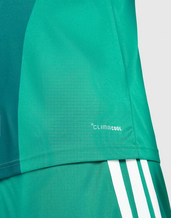 MAILLOT DOMICILE IRLANDE DU NORD 2026